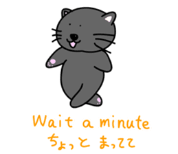 a bilingual cat Sun-chan. sticker #2743997