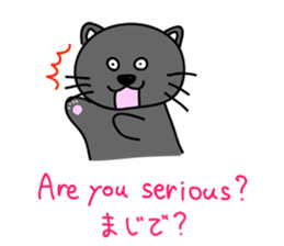 a bilingual cat Sun-chan. sticker #2743998