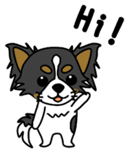 black&white Long Coat Chihuahua(English) sticker #2745571
