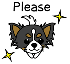 black&white Long Coat Chihuahua(English) sticker #2745574
