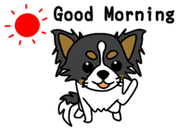 black&white Long Coat Chihuahua(English) sticker #2745575