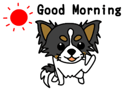 black&white Long Coat Chihuahua(English) sticker #2745575