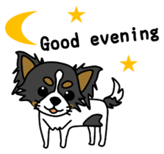 black&white Long Coat Chihuahua(English) sticker #2745577