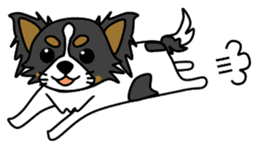black&white Long Coat Chihuahua(English) sticker #2745578