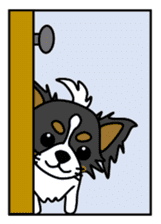 black&white Long Coat Chihuahua(English) sticker #2745579
