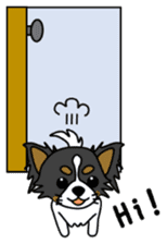 black&white Long Coat Chihuahua(English) sticker #2745580