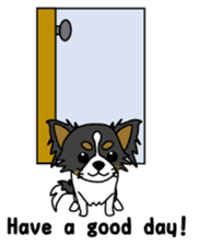 black&white Long Coat Chihuahua(English) sticker #2745581