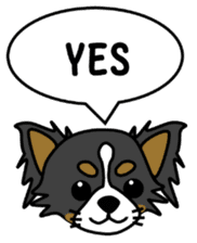 black&white Long Coat Chihuahua(English) sticker #2745583