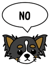 black&white Long Coat Chihuahua(English) sticker #2745584