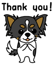 black&white Long Coat Chihuahua(English) sticker #2745585