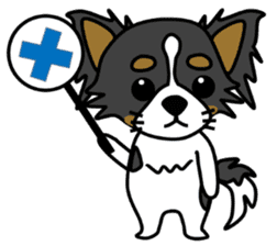 black&white Long Coat Chihuahua(English) sticker #2745592