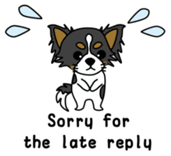 black&white Long Coat Chihuahua(English) sticker #2745593