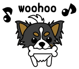 black&white Long Coat Chihuahua(English) sticker #2745595