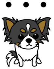 black&white Long Coat Chihuahua(English) sticker #2745598
