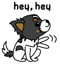 black&white Long Coat Chihuahua(English) sticker #2745599