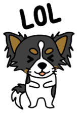 black&white Long Coat Chihuahua(English) sticker #2745603