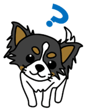 black&white Long Coat Chihuahua(English) sticker #2745604