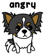 black&white Long Coat Chihuahua(English) sticker #2745606