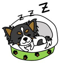 black&white Long Coat Chihuahua(English) sticker #2745610