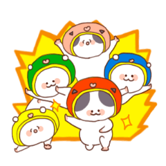 A lop eared Cat&polar bear&panda