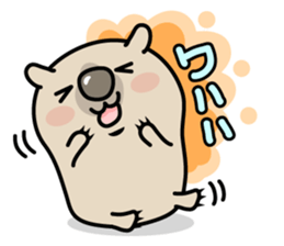 Carefree life of a loose cute wombat. sticker #2749369