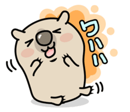 Carefree life of a loose cute wombat. sticker #2749369