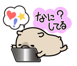 Carefree life of a loose cute wombat. sticker #2749373