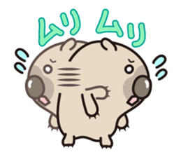 Carefree life of a loose cute wombat. sticker #2749374