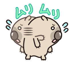 Carefree life of a loose cute wombat. sticker #2749374