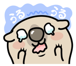 Carefree life of a loose cute wombat. sticker #2749377