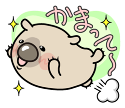 Carefree life of a loose cute wombat. sticker #2749389