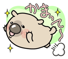 Carefree life of a loose cute wombat. sticker #2749389