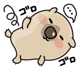 Carefree life of a loose cute wombat. sticker #2749394