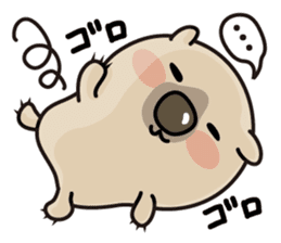 Carefree life of a loose cute wombat. sticker #2749394