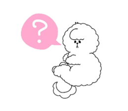 Bichon Frise is fluffy dog. sticker #2751576