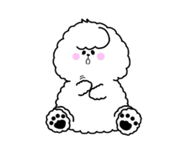 Bichon Frise is fluffy dog. sticker #2751578