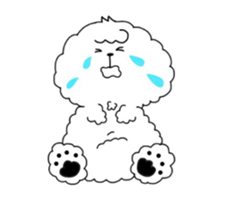 Bichon Frise is fluffy dog. sticker #2751585