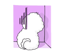Bichon Frise is fluffy dog. sticker #2751586