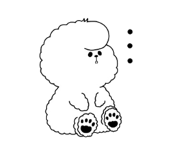Bichon Frise is fluffy dog. sticker #2751592