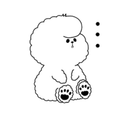 Bichon Frise is fluffy dog. sticker #2751592