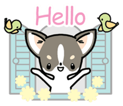 Kawaii Chihuahua (English) sticker #2752339