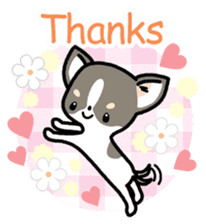 Kawaii Chihuahua (English) sticker #2752341