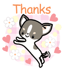 Kawaii Chihuahua (English) sticker #2752341