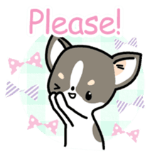 Kawaii Chihuahua (English) sticker #2752344