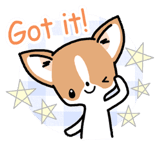 Kawaii Chihuahua (English) sticker #2752347
