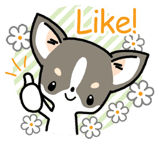 Kawaii Chihuahua (English) sticker #2752348