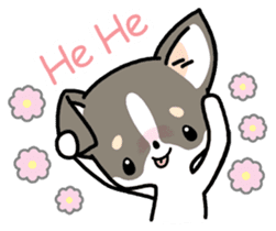Kawaii Chihuahua (English) sticker #2752354