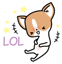 Kawaii Chihuahua (English) sticker #2752355