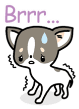 Kawaii Chihuahua (English) sticker #2752356