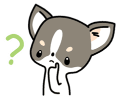 Kawaii Chihuahua (English) sticker #2752362